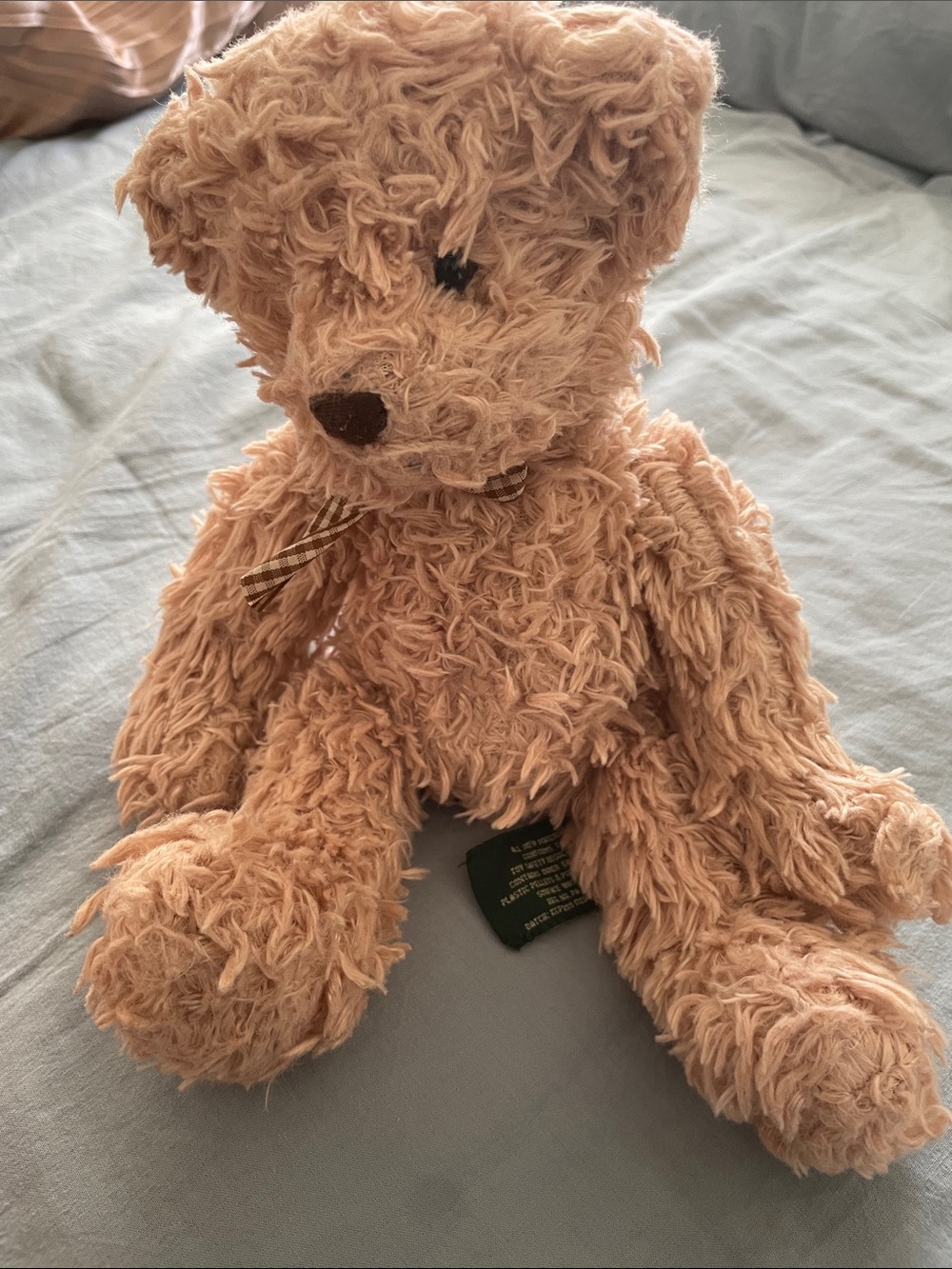 Plush Tan Teddy Bear Decorative Soft Toy